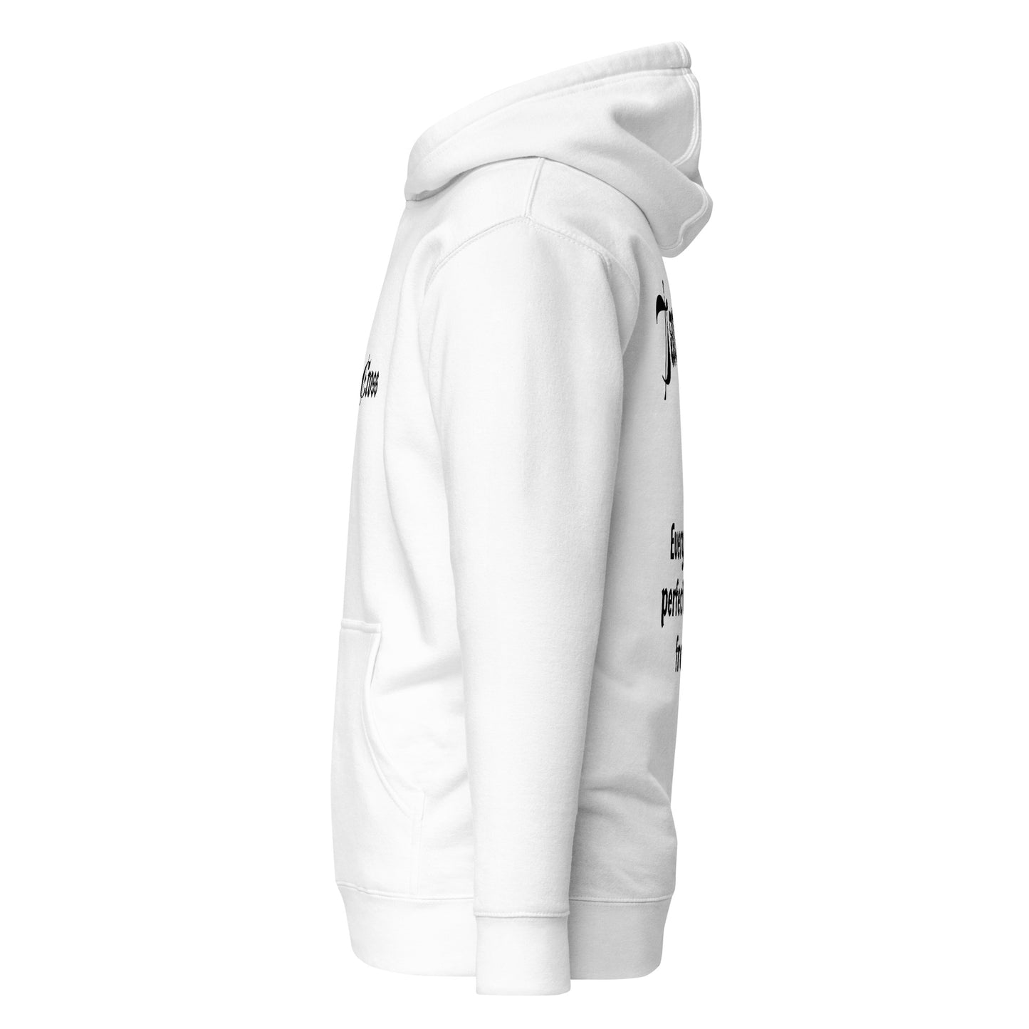 Men's James 1:17 Hoodie